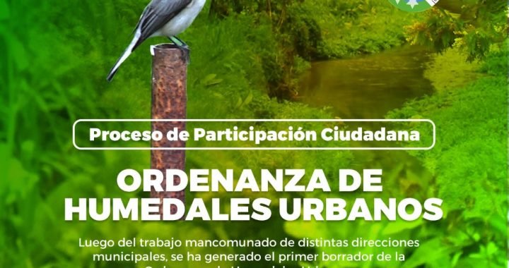 NUEVA ORDENANZA DE HUMEDALES DE VILLA ALEMANA ES ESCRIBE DE MANERA PARTICIPATIVA