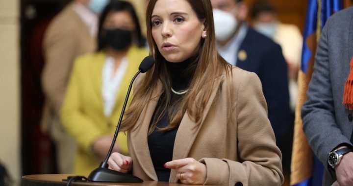 [VIDEO] Camila Flores por Jadue y dichos de Llaitul sobre robo de madera