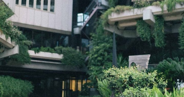 #Jardinería sin excavación: Una guía para crecer plantas y cuidar el suelo