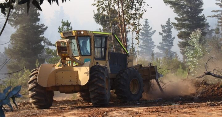 Municipio porteño trabaja en plan para evitar riesgo de incendios en los cerros