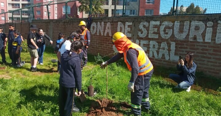 Plan de Restauración Ecológica en Viña del Mar: Una Iniciativa de Alto Jardín