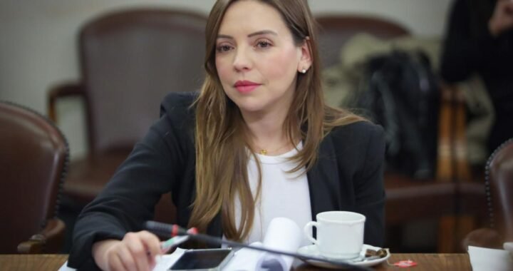 Camila Flores arremete por agresión en Limache, licencias médicas y