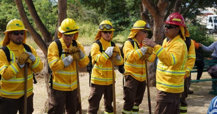 Quilpué Lanza Campaña de Prevención de Incendios Forestales con Participación Ciudadana