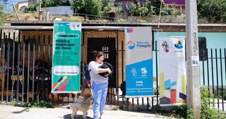 Esterilizaciones y Microchipeos Gratuitos en los Cerros de Valparaíso: Un Paso Hacia la Tenencia Responsable de Mascotas