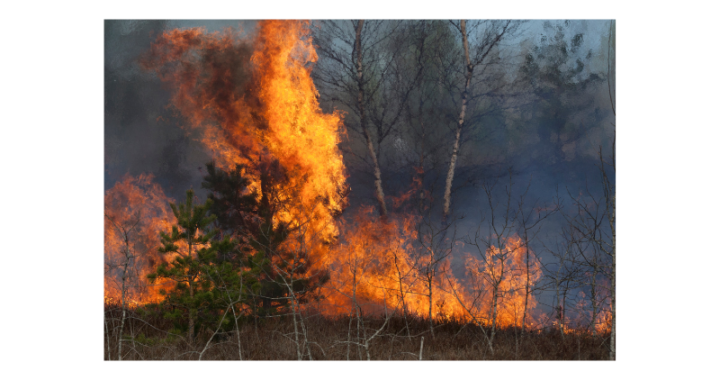 Incendios Forestales Descontrolados Azotan Villa Alemana, Región de Valparaíso
