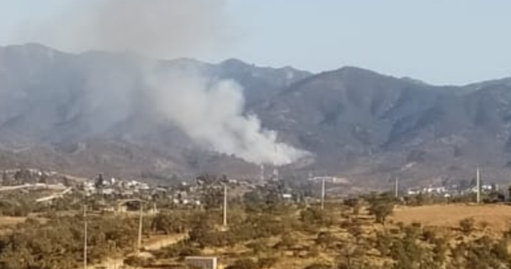 Unidades de Bomberos Avanzan para Controlar Emergencia en Villa Alemana