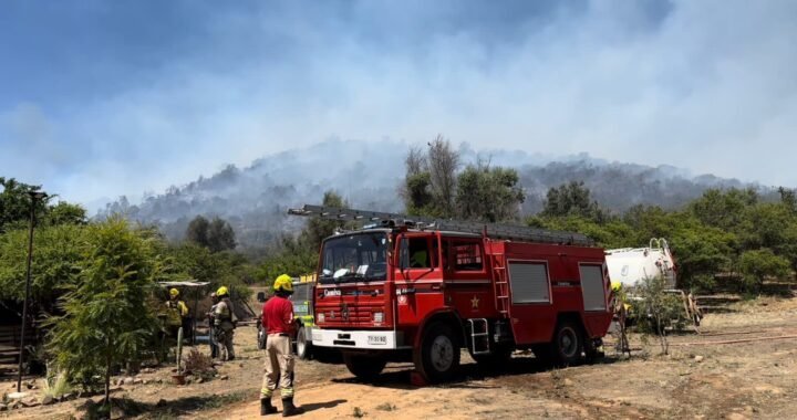 Alerta Temprana Preventiva en Valparaíso: Incendio Forestal en Lliu Lliu Amenaza 10 Hectáreas