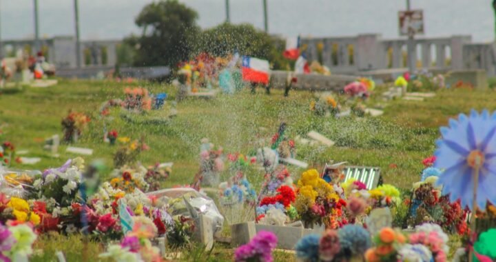 Reverdeciendo el Parque Playa Ancha: Nuevo Sistema de Riego y Drenaje en el Cementerio Nº3 de Valparaíso