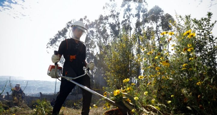 Prevención de Incendios en Valparaíso: Operativos Intensivos y Coordinación Comunitaria