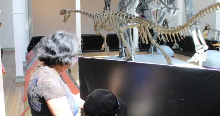 Reapertura del Museo de Historia Natural de Valparaíso con Exhibición de Dinosaurios