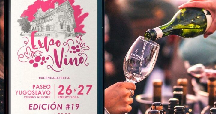 ExpoVino y Gastronomía Verano 2024: Viñas Internacionales y Sabores Locales Sorprenden