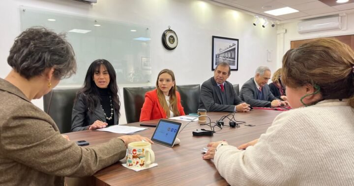 Diputada Camila Flores y Sociedad Chilena de Medicina Reproductiva instan al Minsal a priorizar políticas de fertilidad