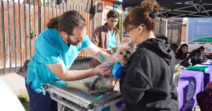 A Mover las Patitas: Villa Alemana Celebra la Primera Expo Mundo Canino