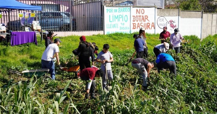 Más Seguridad y Prevención: Limpieza del Estero Huanhualí en Villa Alemana