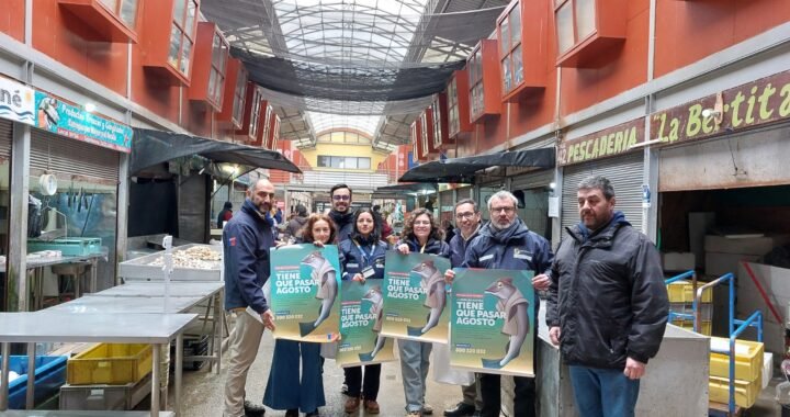 Tiene que pasar agosto: Sernapesca promueve la conservación de la merluza austral