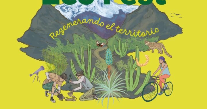 Aconcagua EcoFest 2024: Regenerando el Valle del Aconcagua