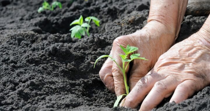 Aprende a Cultivar en Casa: Taller de Huertas Urbanas en Duoc UC Sede Valparaíso