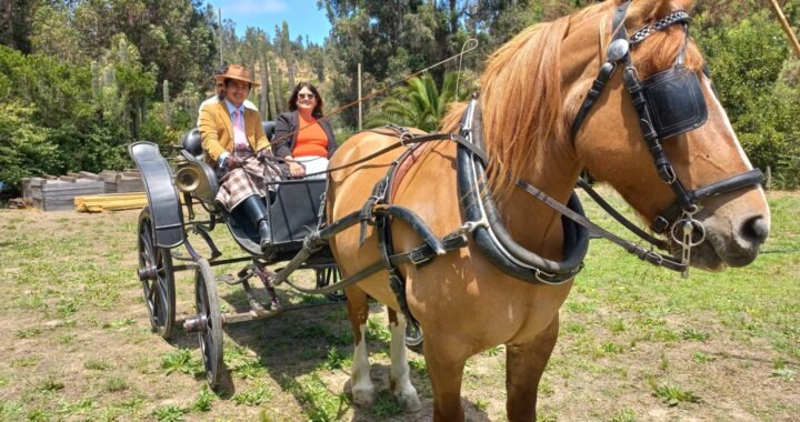 Emprendedores de Cartagena Apuestan por el Turismo y la Sostenibilidad