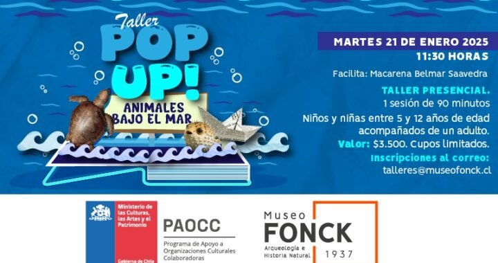 Taller infantil “¡Pop up! Animales bajo el mar” en Museo Fonck