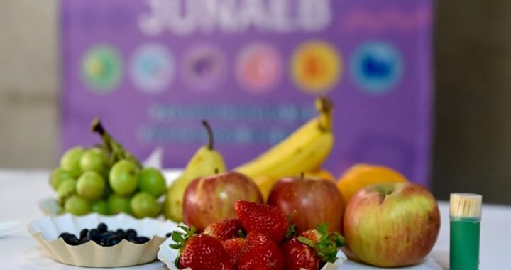 Preocupante aumento de obesidad infantil en Valparaíso según el Mapa Nutricional Junaeb 2024