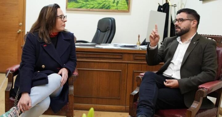 Autoridades refuerzan seguridad en Limache con plan de retiro de rucos