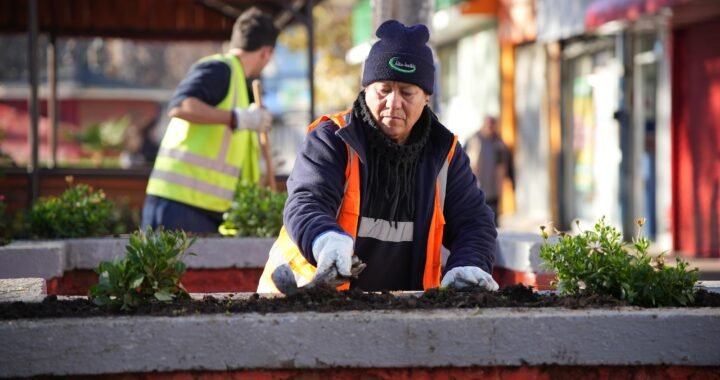De cemento a jardín: Limache apuesta por el paisajismo para combatir el comercio informal