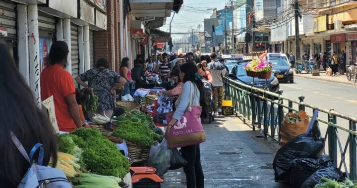 Municipios exigen al SII perseguir a proveedores del comercio ambulante ilegal