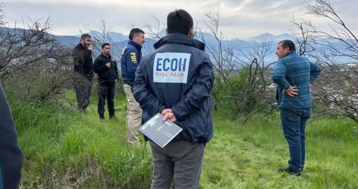 Hallazgo de cráneo en Limache: Fiscalía confirma que pertenece a mujer joven fallecida hace uno o dos meses