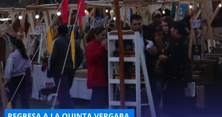 Festival de las Pymes 2025: Sercotec abre convocatoria para microempresas en Quinta Vergara