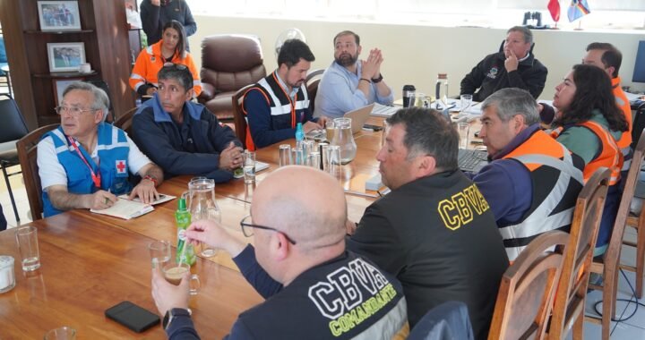 Villa Alemana refuerza defensa forestal con plan preventivo ante incendios de verano