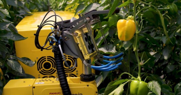 Robots al rescate: la revolución tecnológica que podría salvar al agro chileno