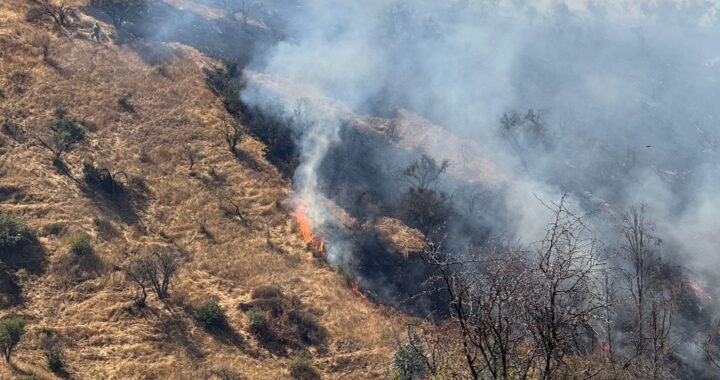 Incendio en Limache arrasa 30 hectáreas y obliga evacuación en sectores residenciales
