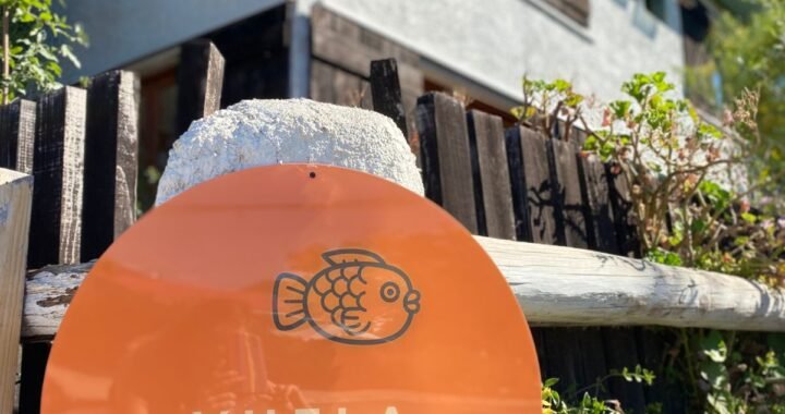 Papudo revive su espíritu creativo con “Vuela el Pez” en Hotel Casapapudo