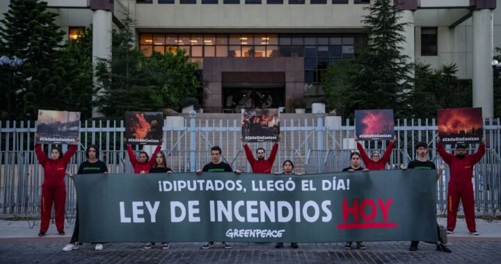 Greenpeace exige aprobar ley de incendios frente al Congreso Nacional