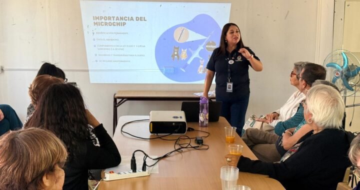 Villa Alemana impulsa plan pionero: adultos mayores se capacitan como monitores de tenencia responsable de mascotas