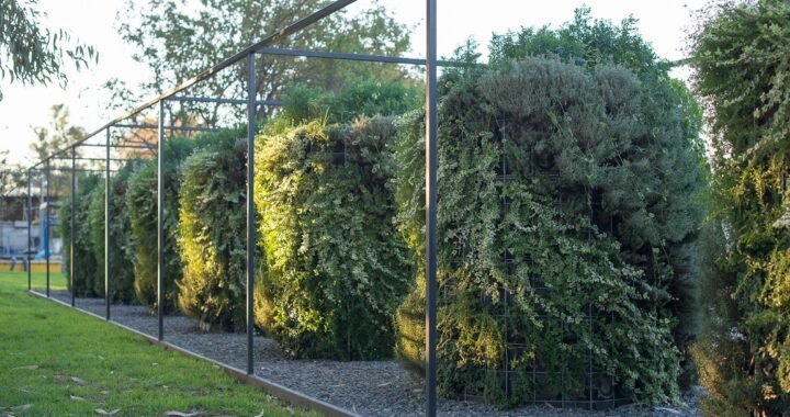 Biofiltración chilena convierte la calefacción a leña en energía limpia