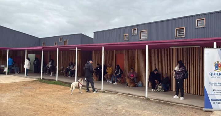 Quilpué impulsa más de 300 esterilizaciones gratuitas para perros y gatos