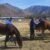 Usuarios de Gendarmería se capacitan como asistentes de equinoterapia en Putaendo