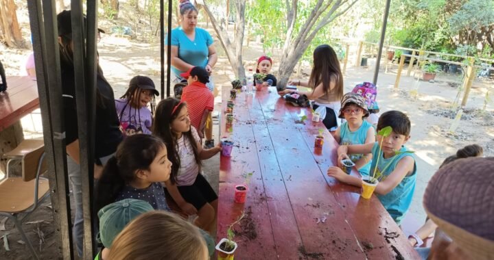 Villa Alemana inaugura su primera Escuela de Invierno gratuita en Parque La Reserva