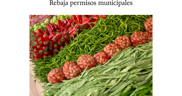 Viña del Mar rebaja permisos municipales a emprendedores tras frente climático