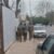 Inspectores de Villa Alemana detienen a agresor tras brutal ataque de violencia intrafamiliar