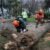 Villa Alemana resiste primeras horas del sistema frontal con balance positivo y apoyo municipal
