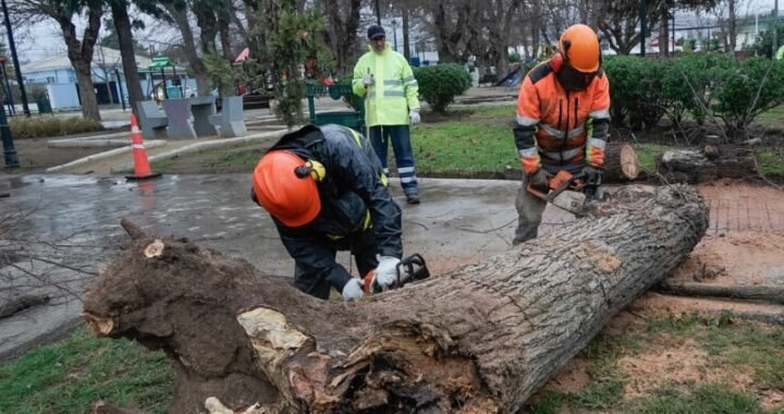Villa Alemana resiste primeras horas del sistema frontal con balance positivo y apoyo municipal