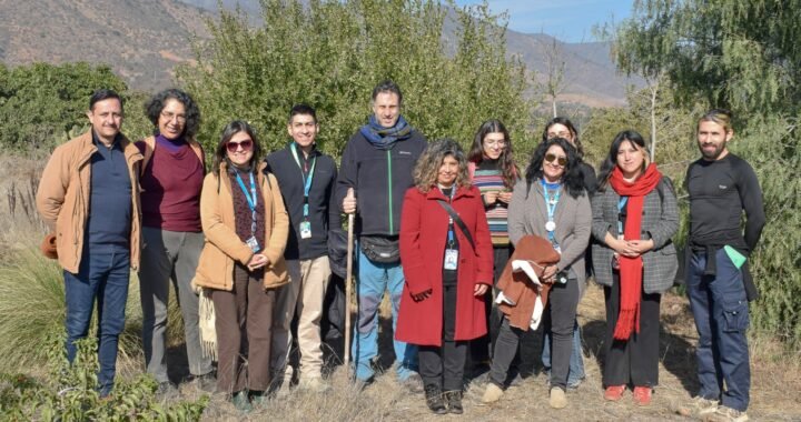 Huertas terapéuticas: Quillota une salud mental, agroecología y comunidad