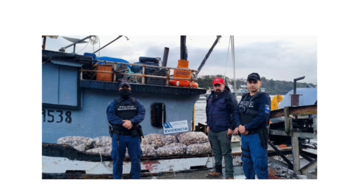 Decomiso en Calbuco: detectan almejas con toxina paralizante